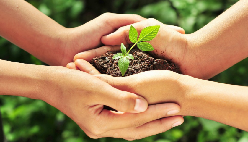 Eco Friendly Habits That You Can Embrace In Your New Home Satyamev Group 